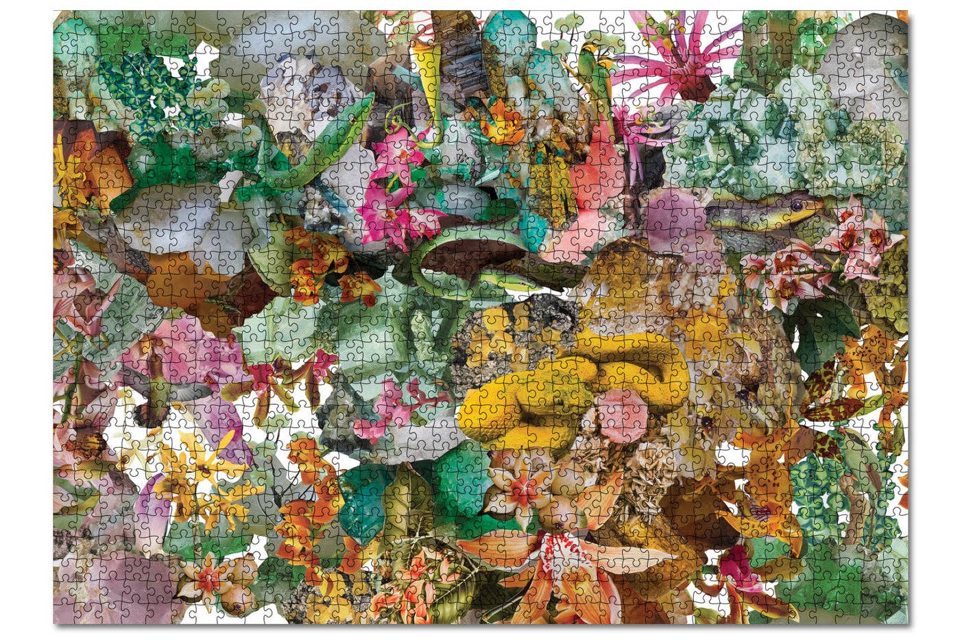 1000 Piece Puzzle - Flora +